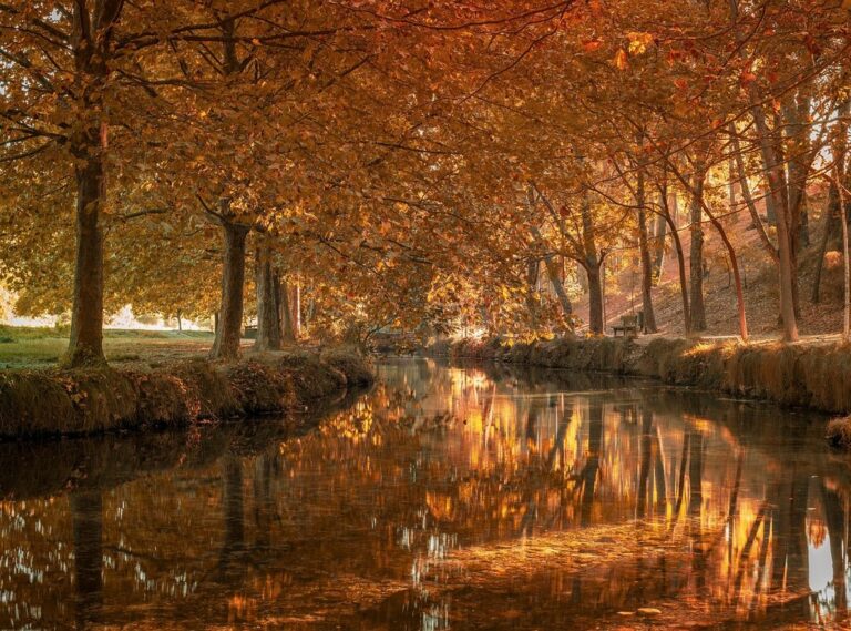 touca de cetim primor