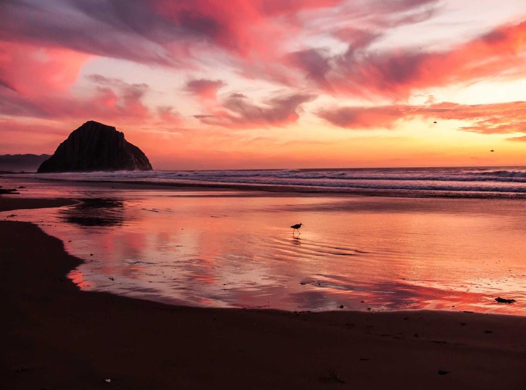 How-to Guide: Navigating ABDL in Scandinavia