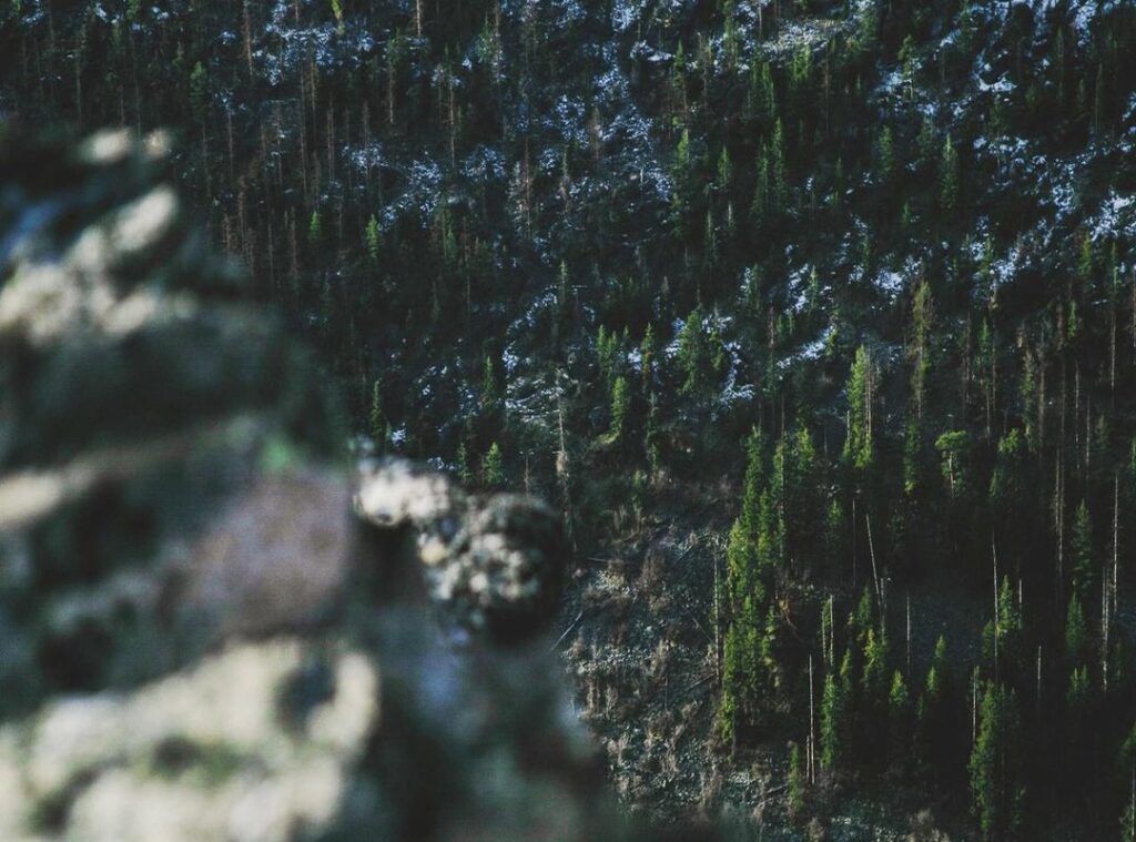 atalanta bergamo - bologna fc 1909 opstellingen