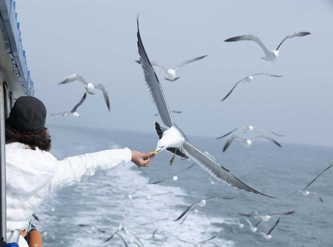 culture continuous momentum