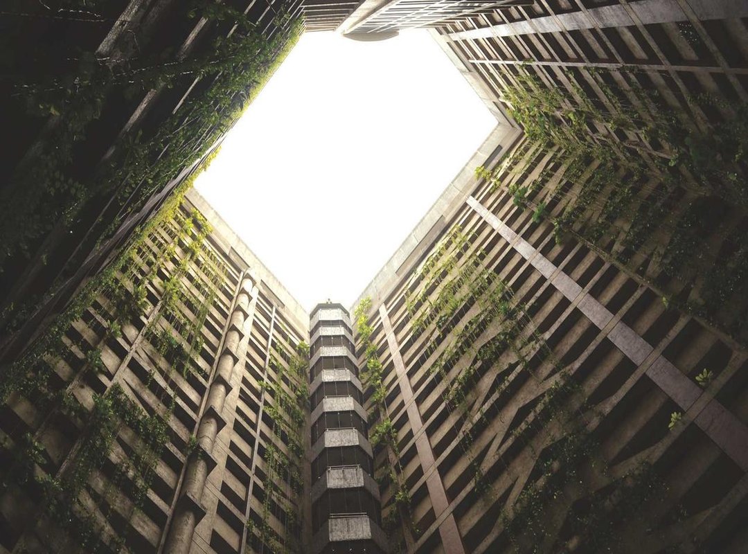 Fact-Checking the Claims: What We Actually Know