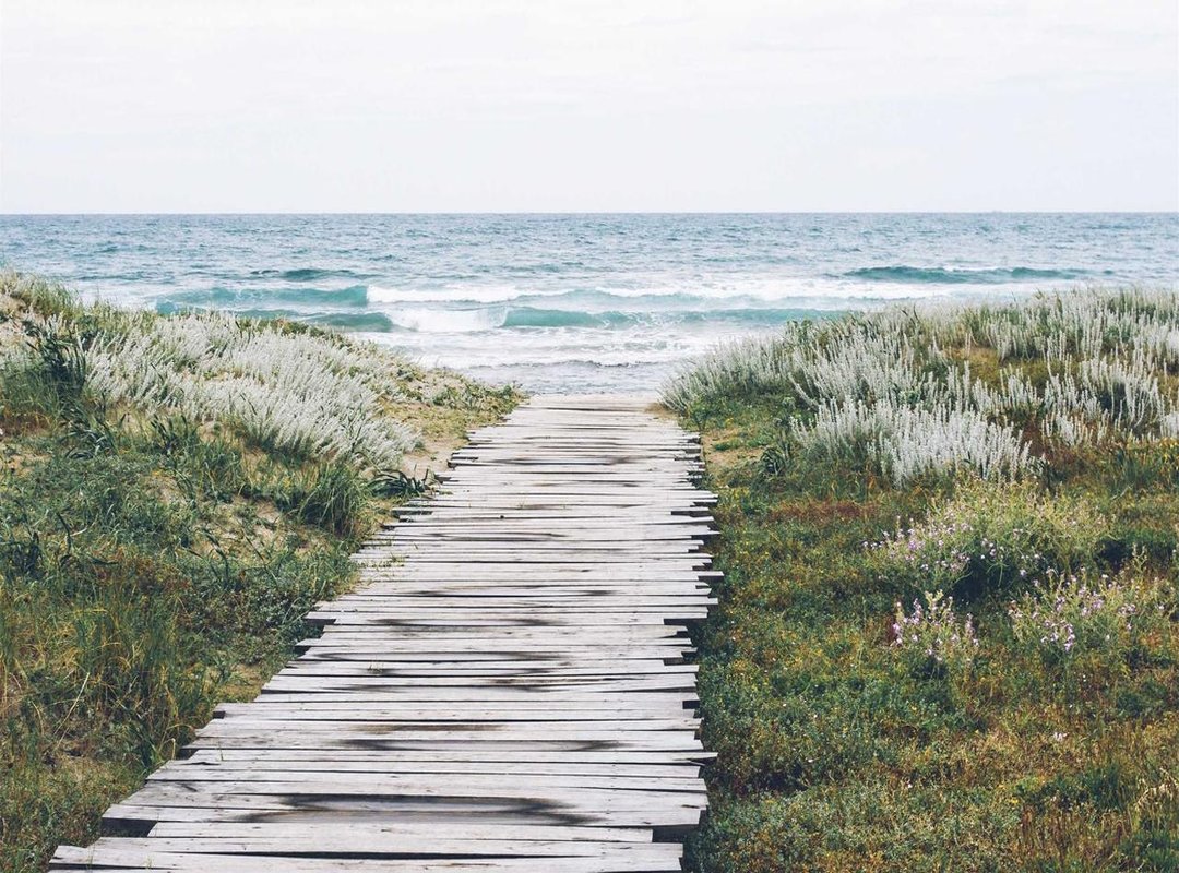 From Blank Base to Finished Character: A Step-by-step Tutorial