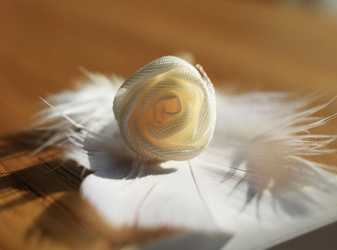 Understanding the Nuances of 'Gently Perv'