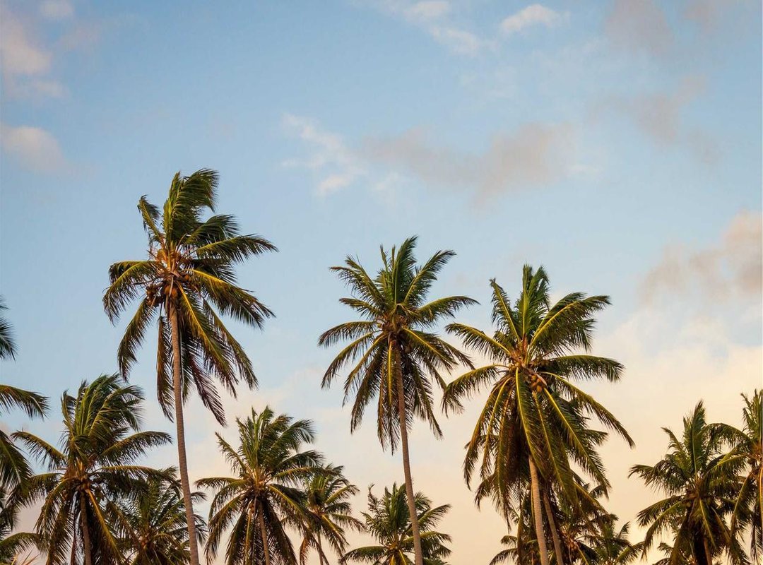 The Legal Aftermath: Accountability and Conviction