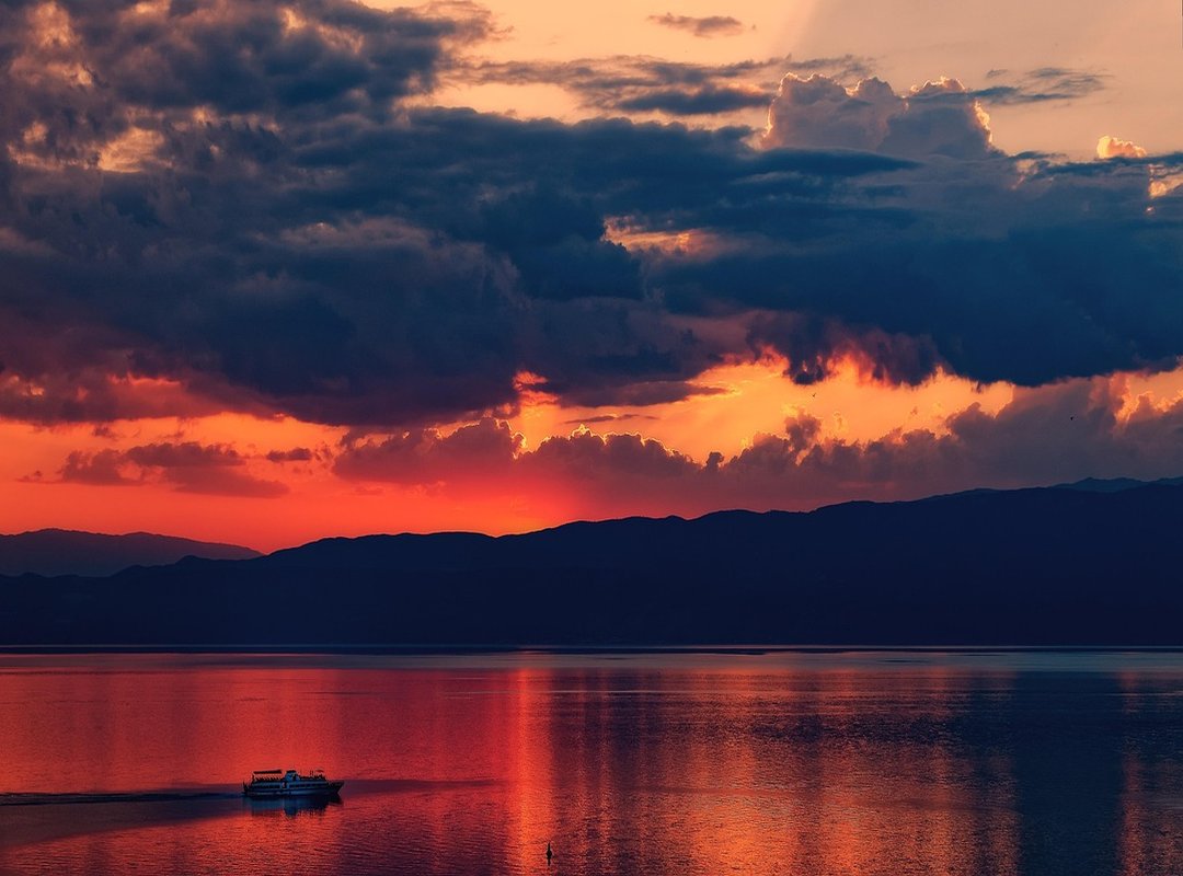 How to Follow and Learn More From Raquelle Star