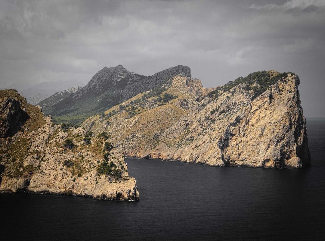 The Aftermath: Unpacking the Questions and Public Reaction