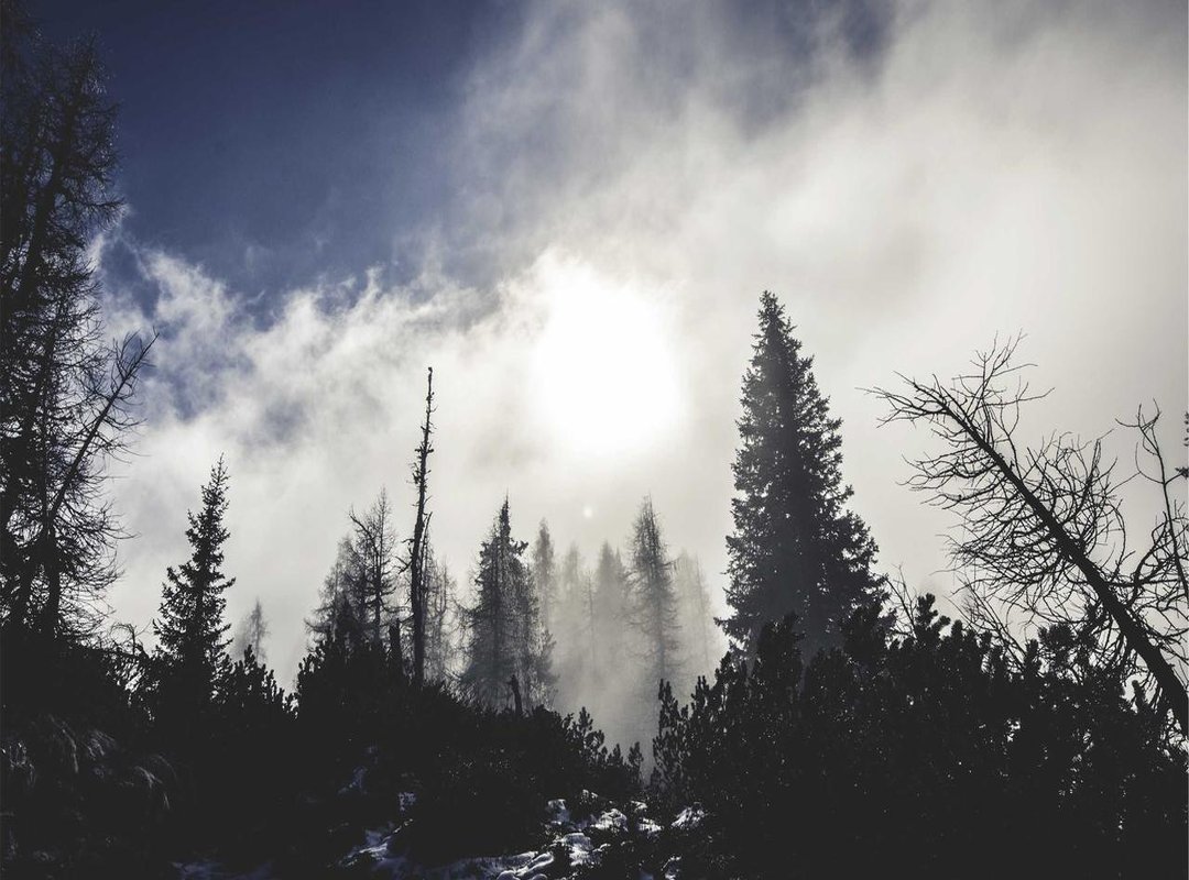 What Sets Our 2023 Collection Apart: Quality and Safety